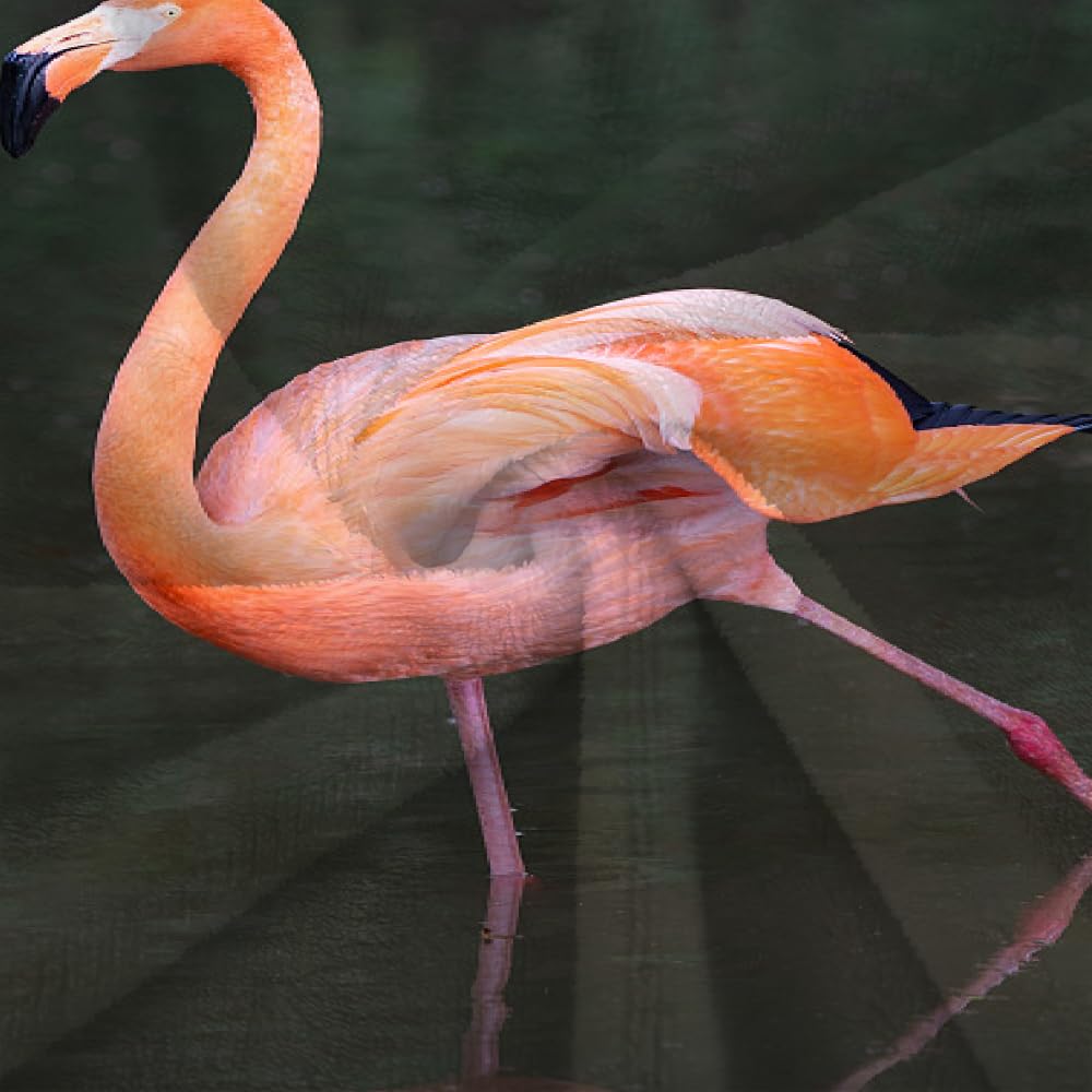Couverture Polaire Flanelle Flamingo 150X200 Couverture Polaire Epaisse Hiver Chaude,Couverture Lit Jete De Canape 1 Personnes,Grand Chaud Et Doux,G1