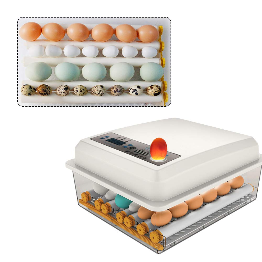 MEHOOSPVN Brutautomat – Vollautomatisch, 16–24 Eier, Mit Eierdrehung & Wasserzugabe, LED-Display, 12V/220V