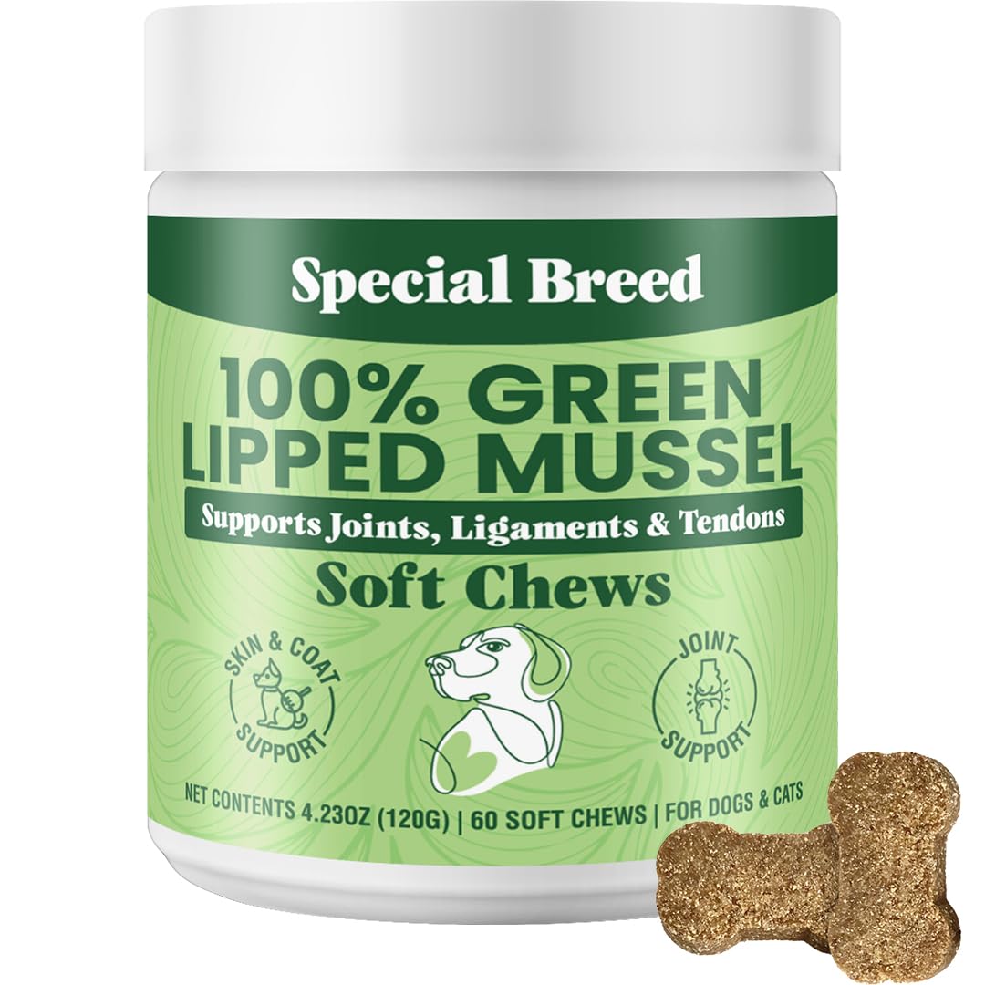 Green Lipped Mussel for Dogs & Cats - 60 Soft Chews - New Zealand Green Lipped Mussels - Natural Hip & Joint Supplement for Joints, Tendons, Ligaments, Muscles
