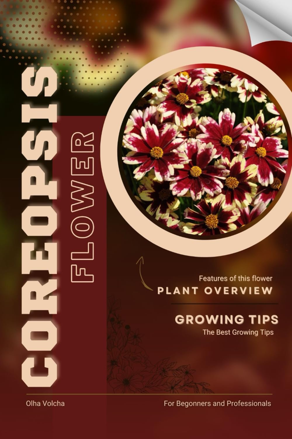 Coreopsis: Flower overview and Growing Tips