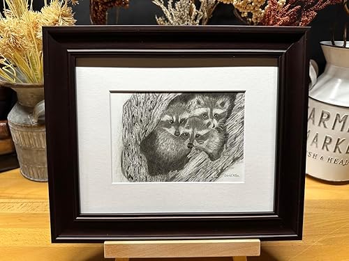Raccoons Nature Wildlife Graphite Pencil Art Sketch Drawing Print Picture Limited Edition Titled 'Hideout Til Lights Out' by David Allen (11x14