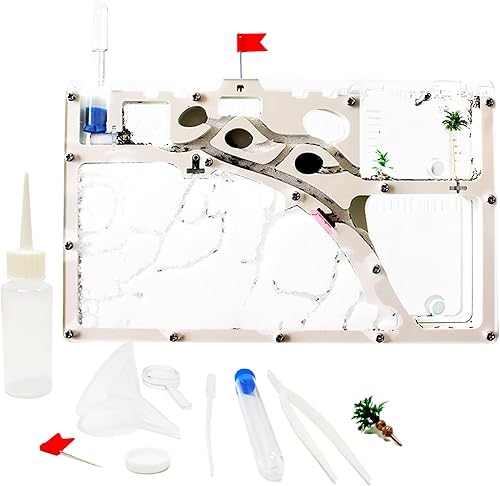 Sand Ant Farm Castle Ant Colony Ecosystem Science Regalo educativo Hábitat de hormigas vivas para estudiar el comportamiento de los insectos..