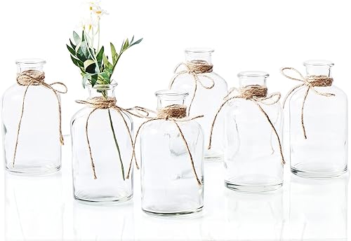 VILAWELER Juego de 6 jarrones de cristal de 2.56 pulgadas de ancho x 4.9 pulgadas de alto, jarrones pequeños transparentes, mini jarrones de flores