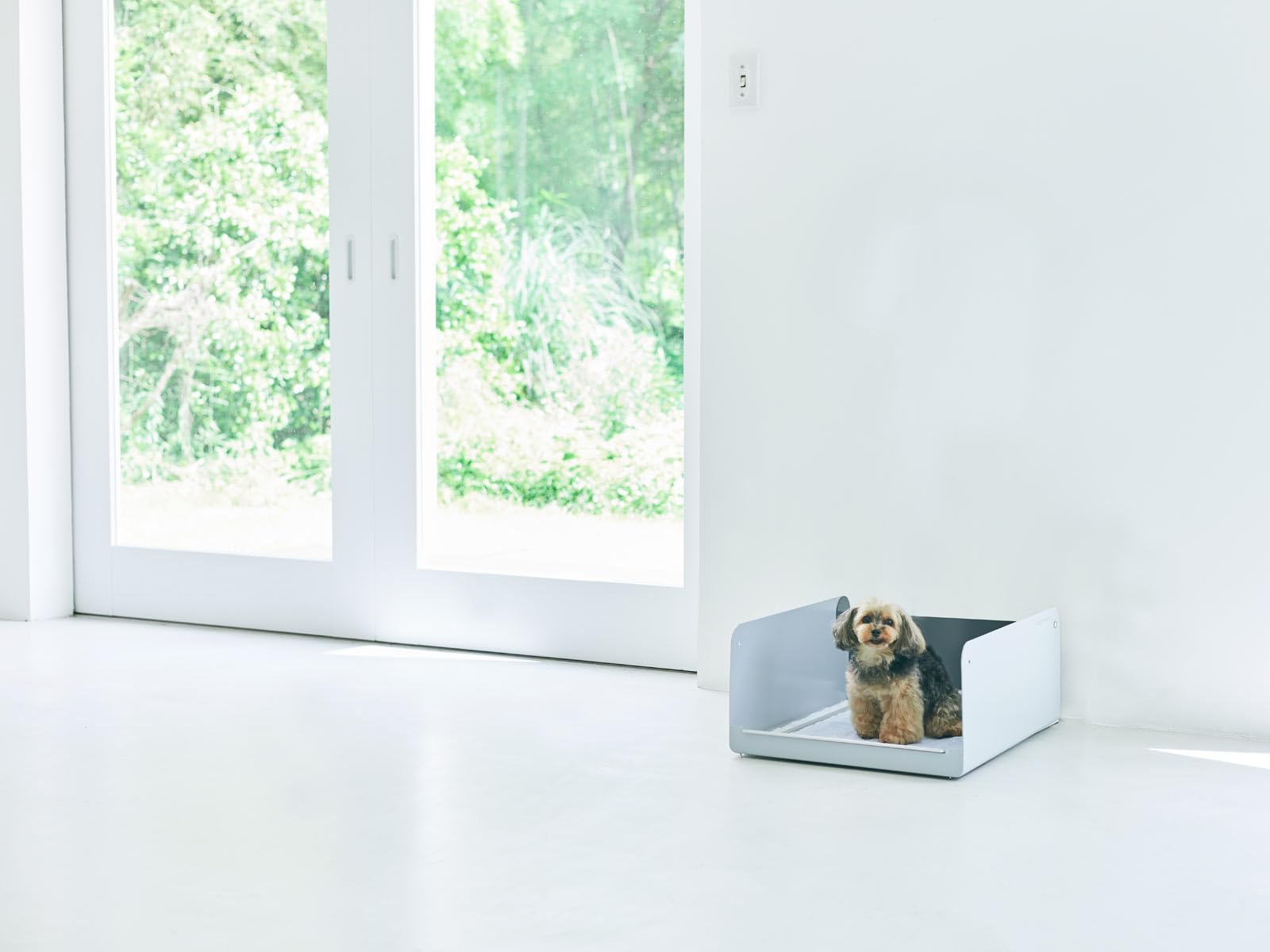 Amazon | happyinuself ペットトレー 犬用トイレ トイレトレー