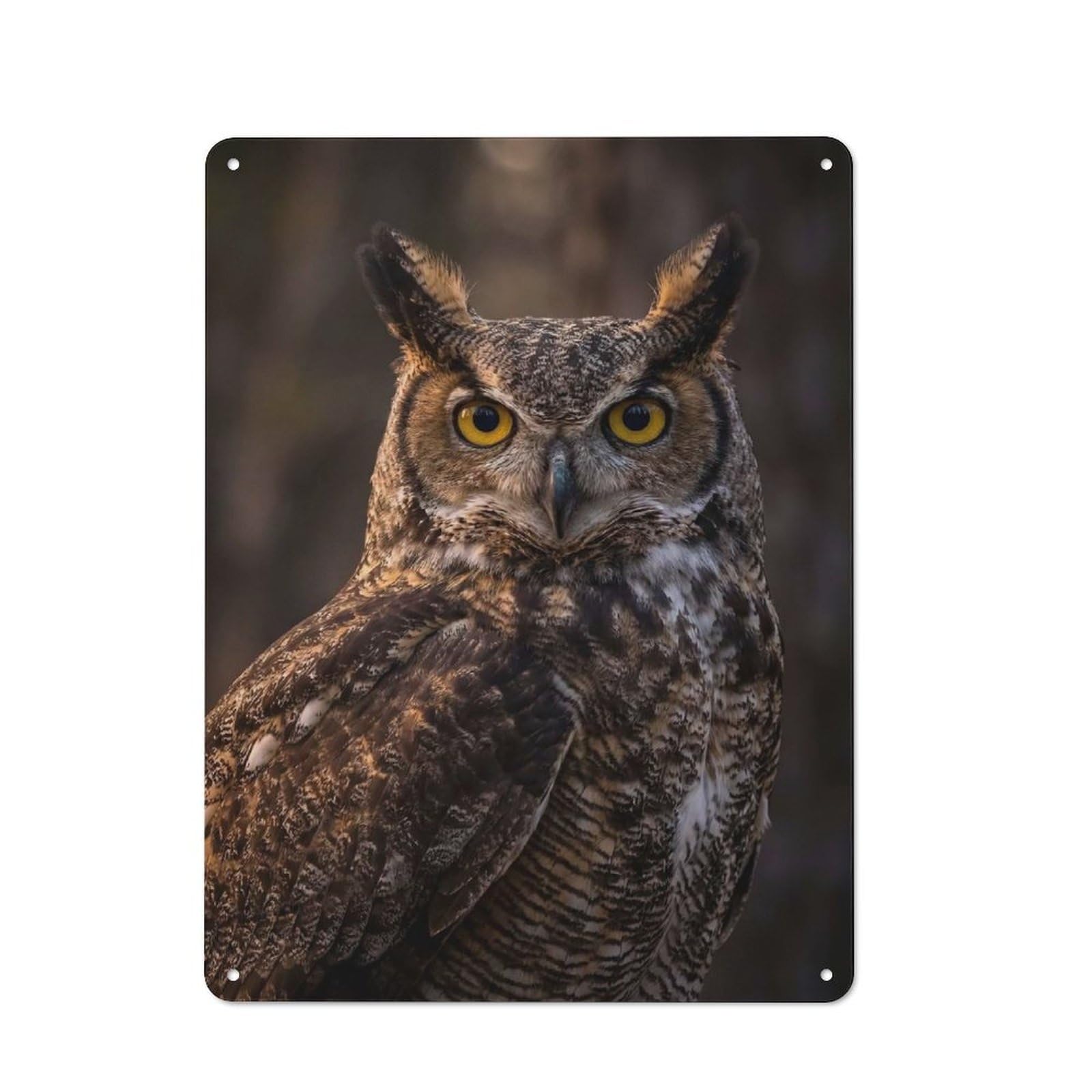 Classic Metal Plaque 40x30cm Featuring Great Horned Owl Portrait, Bistro Wall Plaque for Kitchen, Cafe, Pantry Or Dining Room