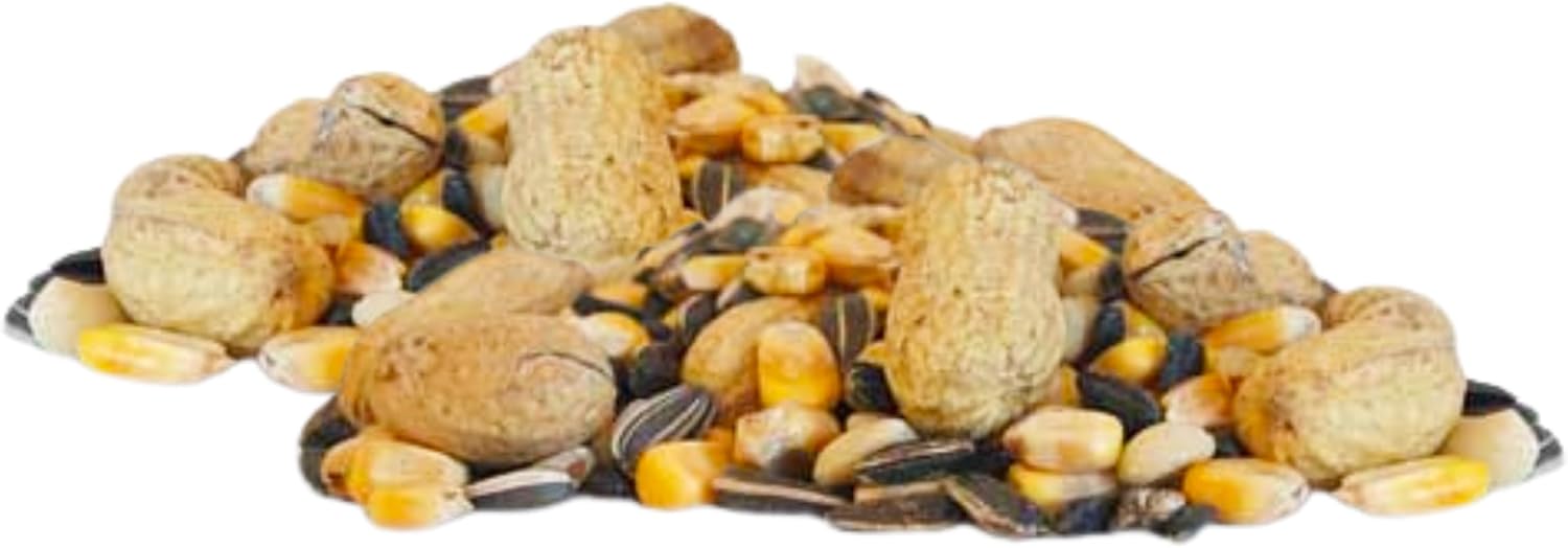 BestNest Critter Snack Seed Mix, 10 lb Bag | Blend of Corn, Peanuts & Seed for Wildlife | Nutritious Backyard Food for Birds, Squirrels, Deer & More | High-Protein, Energy-Rich Wild Animal Feed