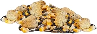 BestNest Critter Snack Seed Mix, 10 lb Bag | Blend of Corn, Peanuts & Seed for Wildlife | Nutritious Backyard Food for Birds, Squirrels, Deer & More | High-Protein, Energy-Rich Wild Animal Feed