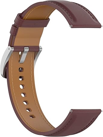 611Ur6PVH8L._AC_UX342_.jpg