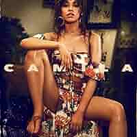 米LP Camila Cabello Camila 88985472221 Epic /00260 Camila Cabello - Camila - Music & Performance - Vinyl