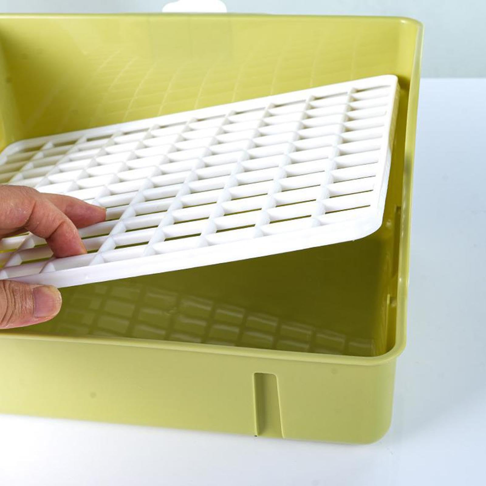 Bañera Automática para Loros con Grifo USB, Fácil Montaje, PP para El Cuidado E Higiene de Loros Medianos, Verde