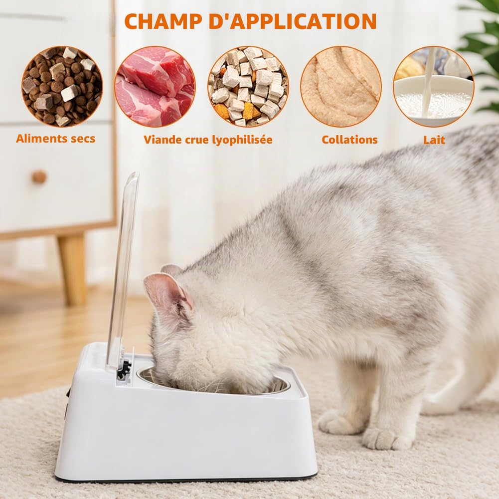 Distributeur automatique de nourriture humide pour chat, avec couvercle à charnière, distributeur de nourriture humide et sèche, distributeur automatique de nourriture pour petits chiens et chats