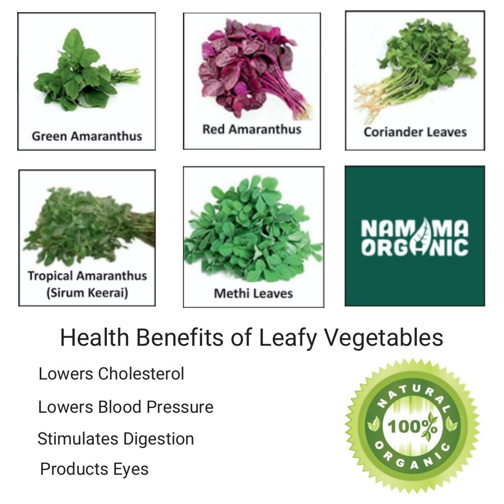 NAMMA ORGANIC s Leafy Vegetable Seeds Combo (5 Varieties 150 Quantity Each) Amazon.in