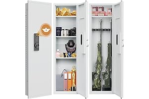 Keypad/Biometric Wall Safe