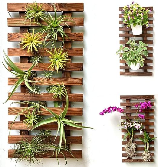 Dexter Enterprises Wall Planter - Hanging Wooden Wall Planter for Indoor Outdoor Plants Wall Mount Planter, Air Plant Holder, Wooden Trellis for Climbing Plants (60Cm (Set of-1)) (B0CGRNSG3Y) Amazon Price History, Amazon Price Tracker