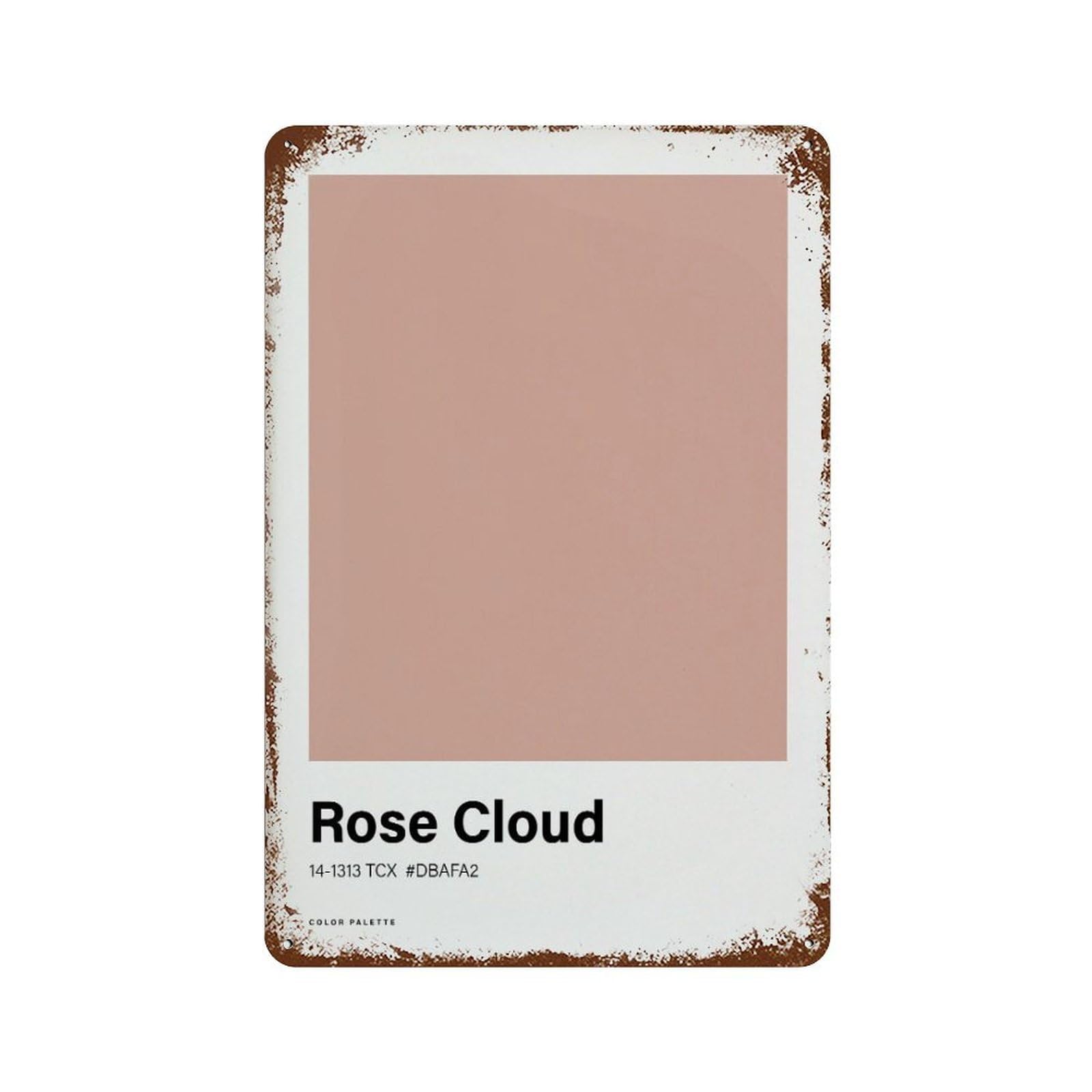 xiaoxiaoshen Rose Cloud Color Palette Neutral Boho Decor Wall Decor Art Metal Tin Poster Modern Home Decor Art Home Bar Shop Decorations Vintage Sign 30x20cm