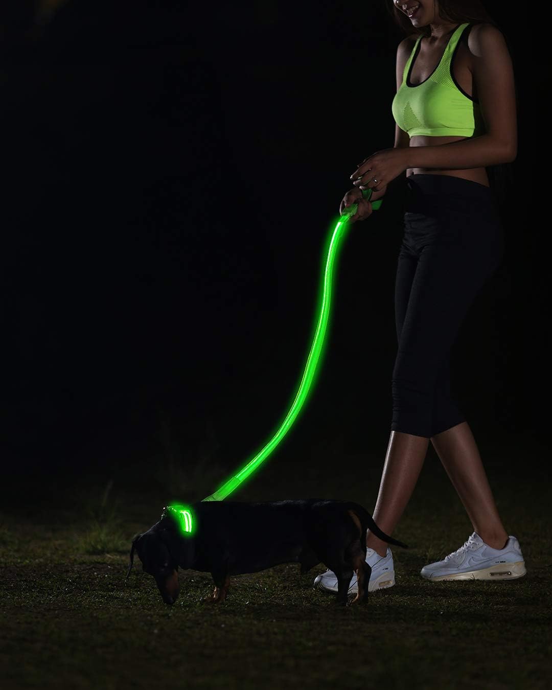 Led leash Clearance