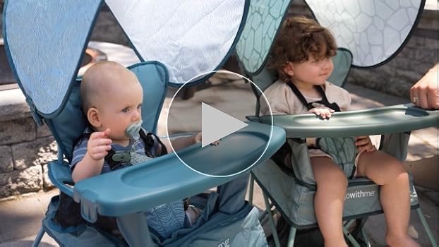 Amazon.com : Baby Delight Go with Me Venture Portable Chair