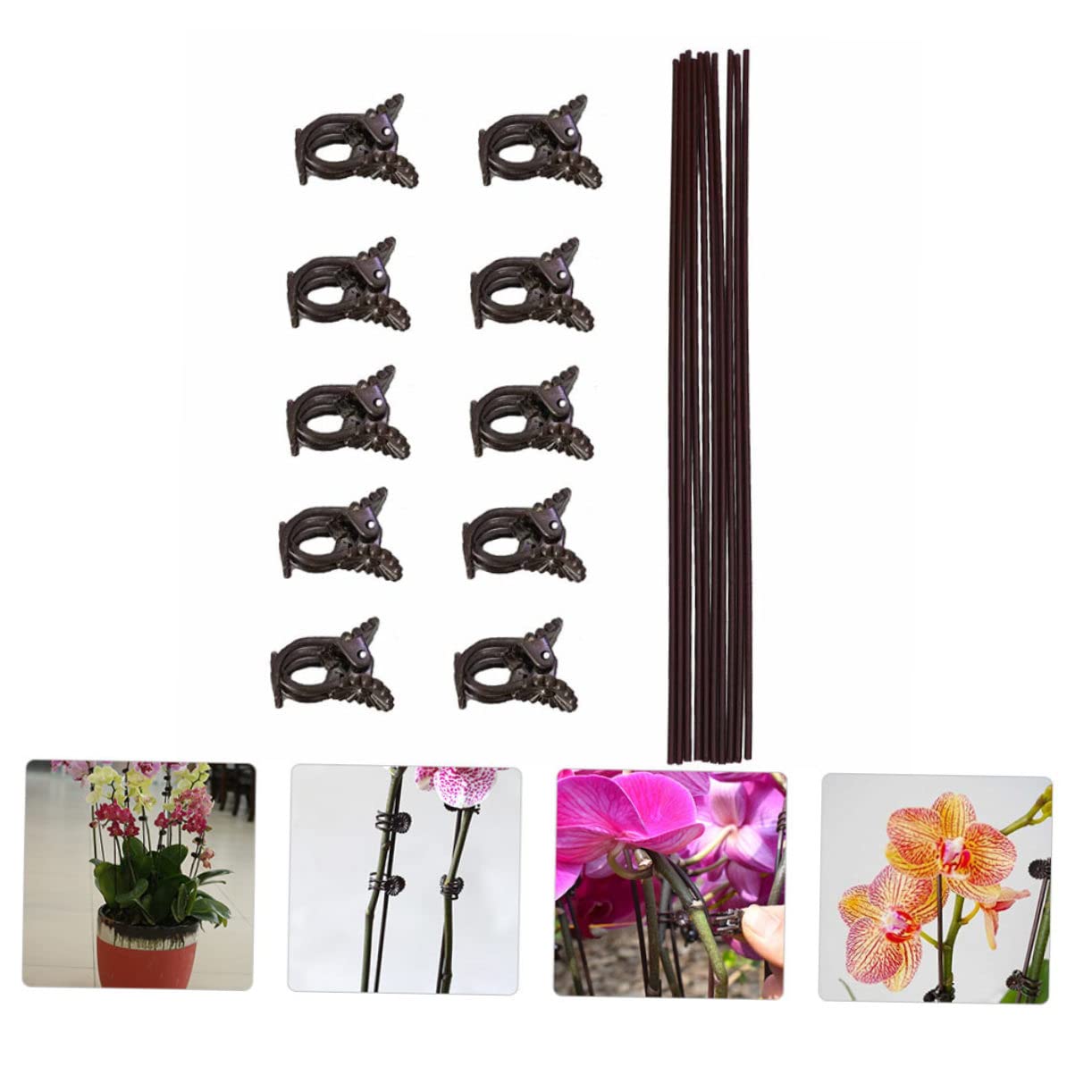 Abaodam 2 Sätze Teiliges Set Pflanzenklemmen Für Kletterpflanzen Phalaenopsis Halterungen Mit Clips Und Eisenstützen Zur Unterstützung Und Fixierung Von Pflanzen 20 Stück * 2