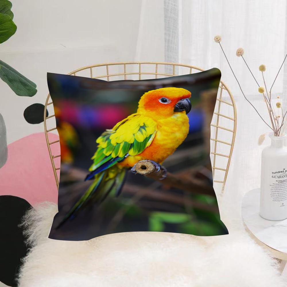 HYMSXW Cushion Cover,Throw Pillow Case Home Decorative for Living Room Bedroom Sofa Chair 20X20 Inch,Conure Tail Parrot Perch On Tree Branch Animals Wildlife Nature Wild Multi Colo,Pillowcase 50X50cm