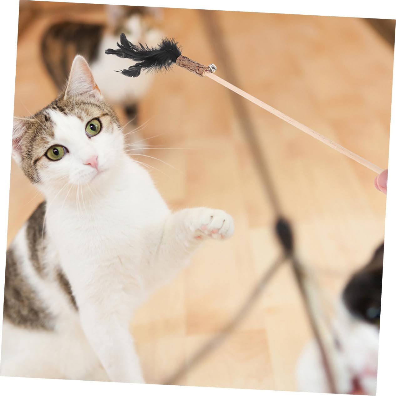 Sosoport 5 Set Di Canne Da Pesca Per Gatti Gioco Interattivo Attraente Gioco Da Appendere Per Gatti 3 Pezzi * 5