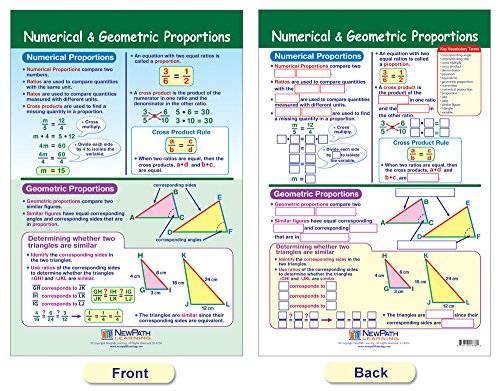 Newpath Learning Geometry Bulletin Board Charts, Set/6 - Laminated, Double-Sided, Full-Color, 12" X 18" (93-6501) #TOP6
