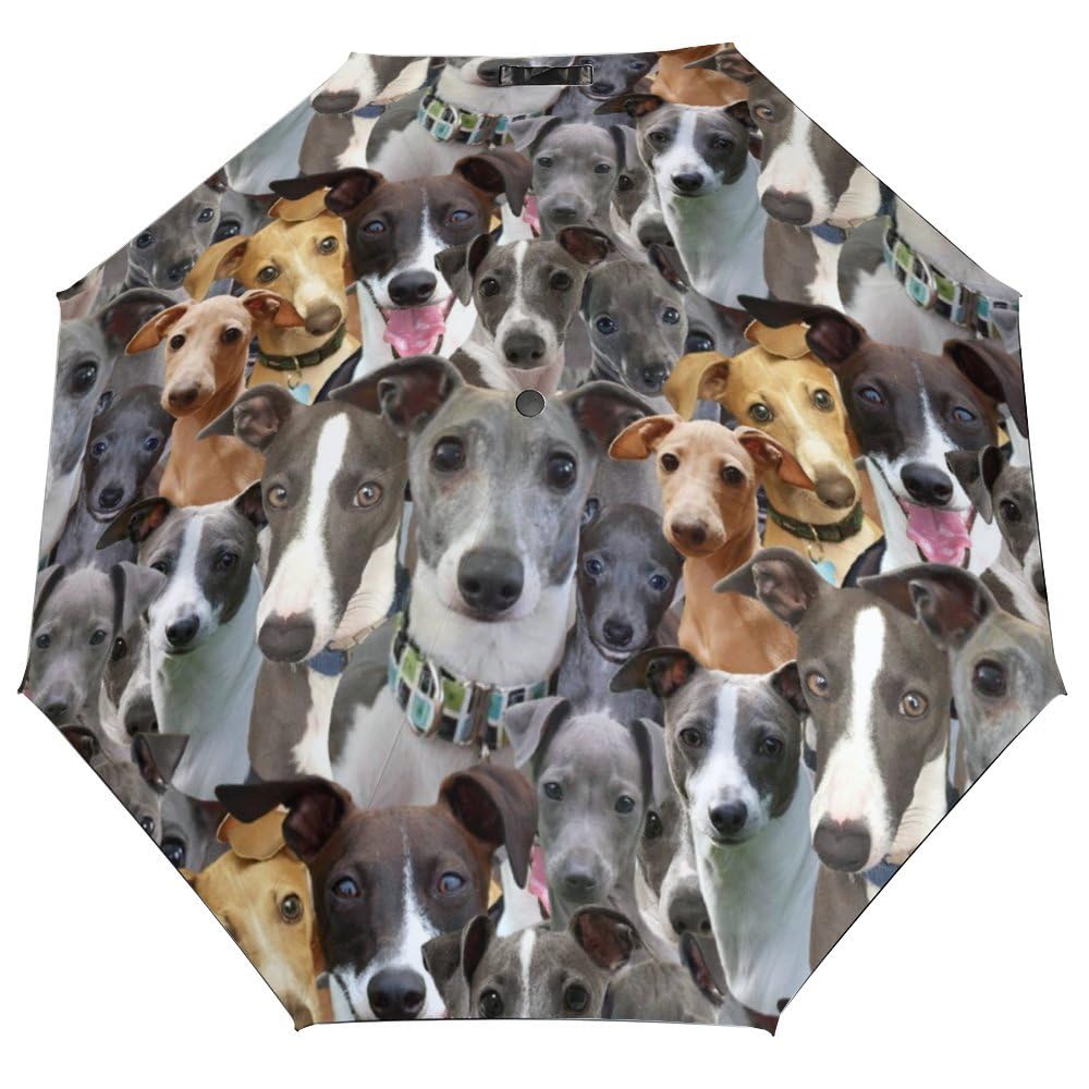 Smazdfxx Men's As Pic Italian Greyhound Lovers S, Italian Greyhound Umbrella,Greyhound Dog Mom Dad Owner, Cute Puppies Printed Windproof Travel Umbrella Portable