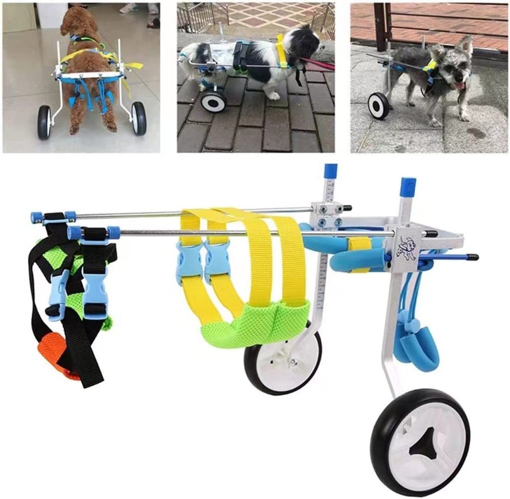 REMEK Sedia A Rotelle per Zampe Posteriori Cani, Carrello per Animali Piccolo/Medio/Grande Pet Walk Assistant per La Riabilitazione delle Zampe Posteriori