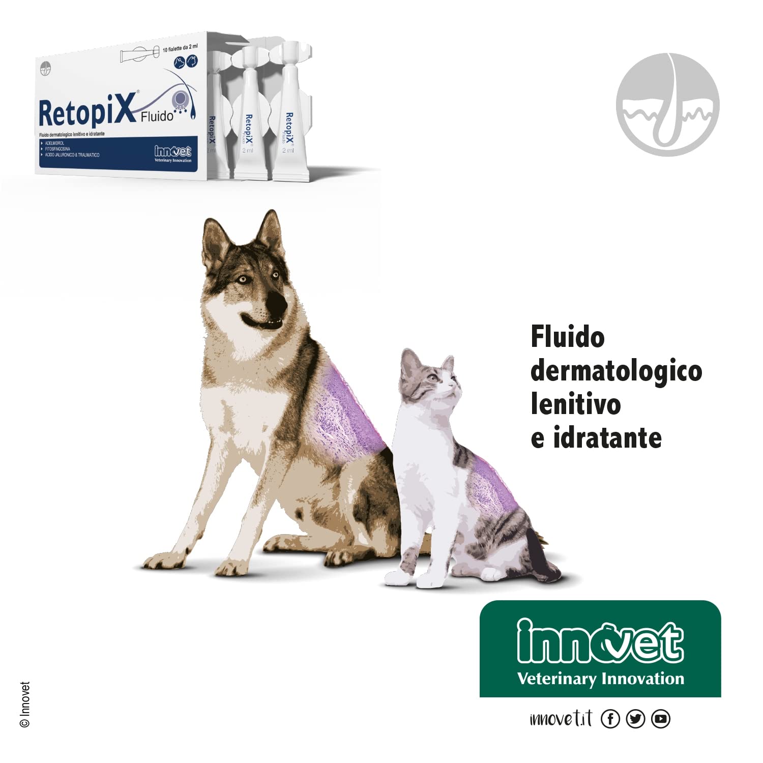 Retopix Fluido dermatologico lenitivo e idratante, in caso di Arrossamento, Desquamazione e Secchezza, per cani e gatti - Confezione 10 fialette da 2 ml