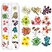 Produktbild ICYCHEER 3D-Design echte getrocknete Blumen Nail Art Dekoration 12 Stile Blumen Nail Art DIY Werkzeug für Nagelpflege Zubehör