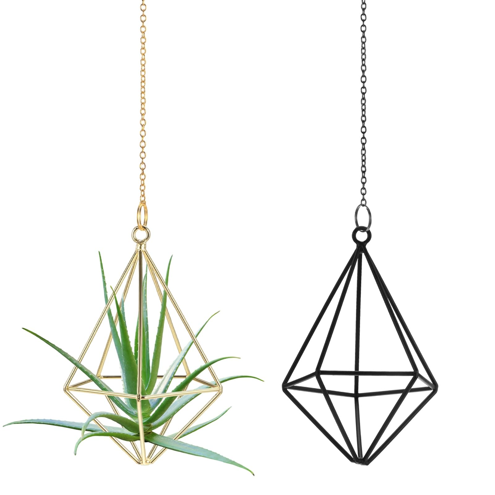 M METERXITY 2-Pack Hanging Air Plant Holders, Pentagonal Metal Geometric Hanging Tillandsia Holder with Metal Chain for Home Decor/Small Indoor Outdoor Plants [Black, Gold Tone, 4.8" H]