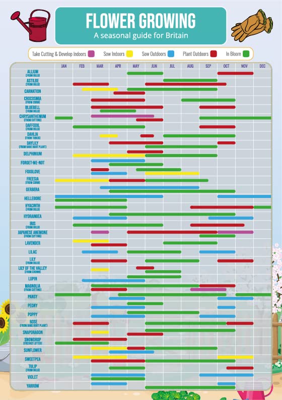 Gardening Flower Growing Planner Poster A3 Size And Laminated Calendar ...