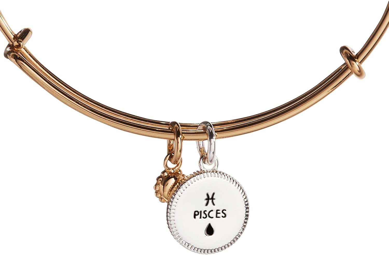 Alex and Ani Sagittarius Zodiac Charm Bangle