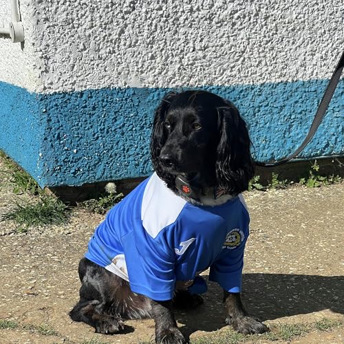 In the Sportlight 6th April