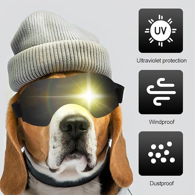 Foto 4 de 7 de XFSRG Gafas de Sol para Perros Envolventes Cortaviento Pequeños Perro Protección UV de Moto Perros Gafas…