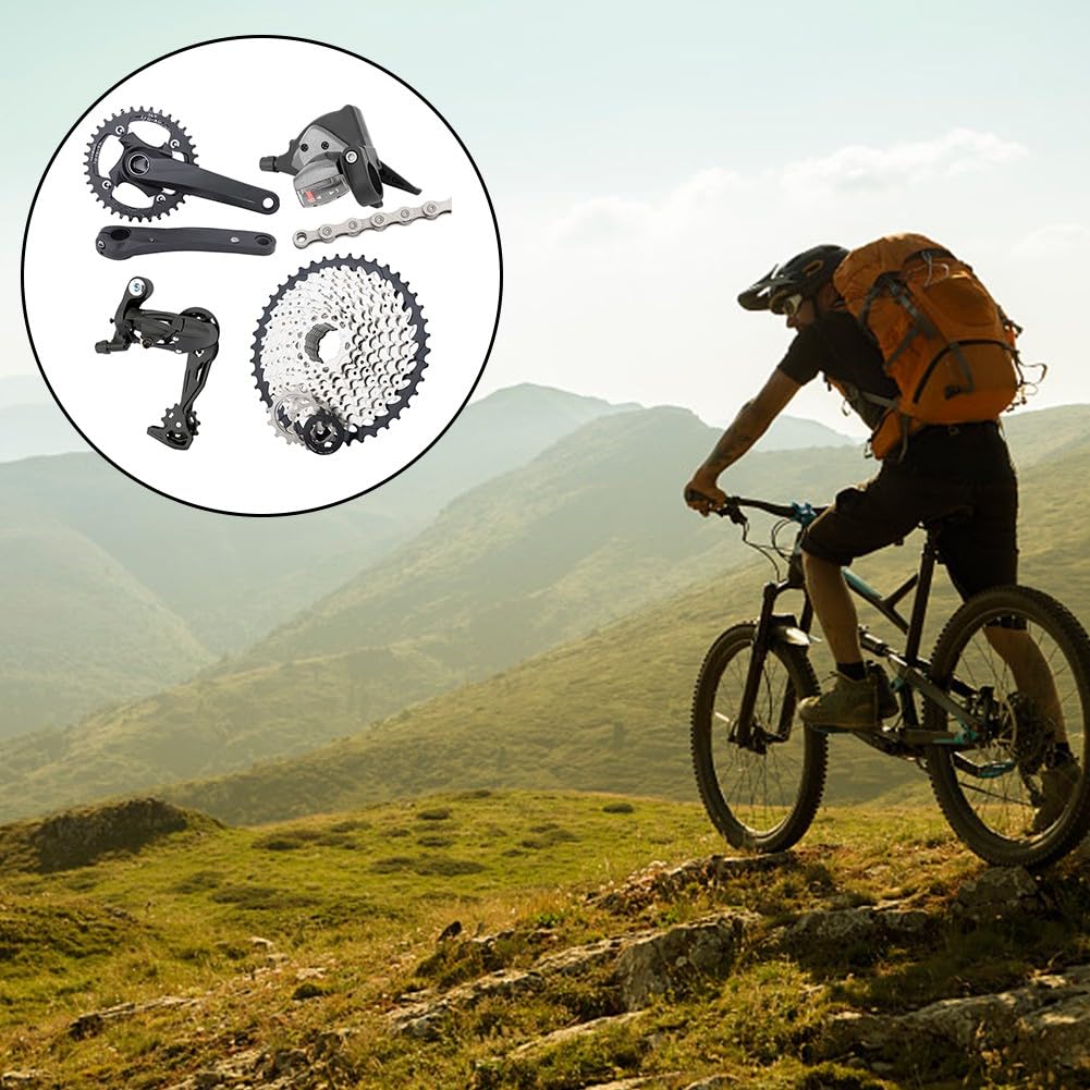 View 4