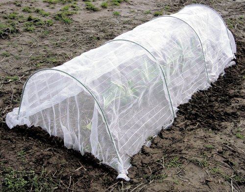 Amazon | 第一ビニール おてがる君 (防虫ネット) 間口90cm×長さ4.2m