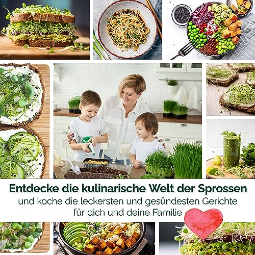 Sprossen Samen Microgreens Starter Set BIO - 14 Sorten BIO Sprossen zum selber züchten Microgreens Samen und Keimsprossen Keimsaat - Probierset für Sprossenglas & Kressesieb (inkl. Ebook)