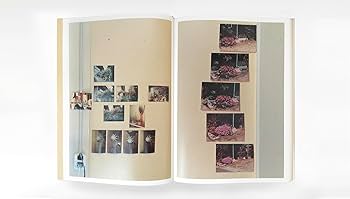 長島 有里枝 swiss 赤々舎（未開封品） 長島有里枝『SWISS』 | Fugensha STORE