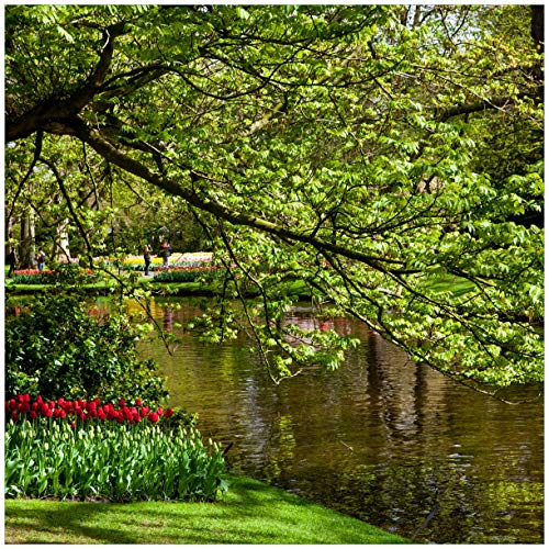 Wallario Möbelfolie selbstklebend/Aufkleber, Tischfolie geeignet für IKEA Lack Tisch - Möbeldeko Bunte Blumen im Park am Wasser - Frühblüher am Ufer in 55 x 55 cm