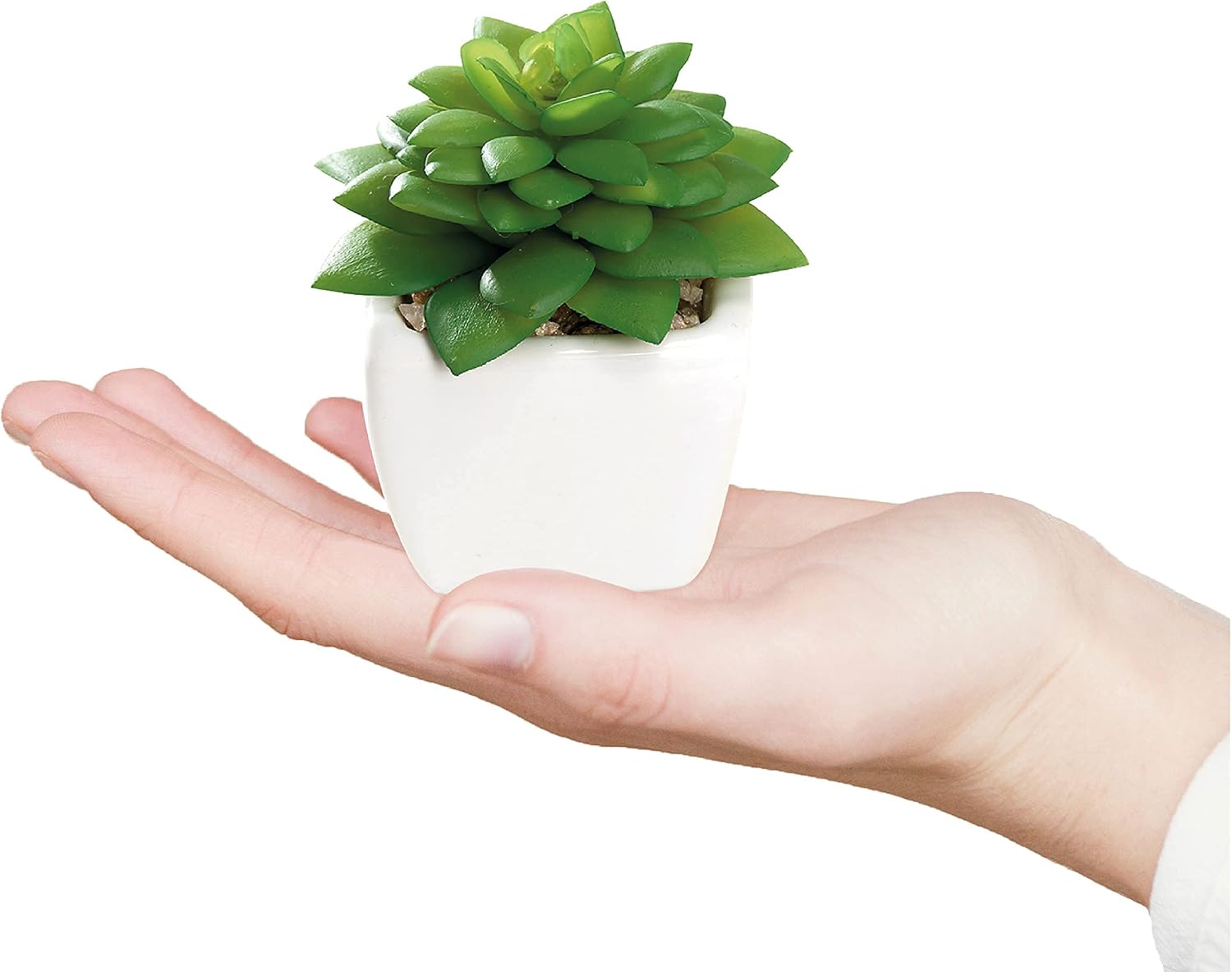 Nattol Mini Artificial Succulent Plants Potted in Square Modern Ceramic Pots, Faux Plants for Home & Office Table Decor, Bedroom Bathroom Birthday Gift, Set of 4