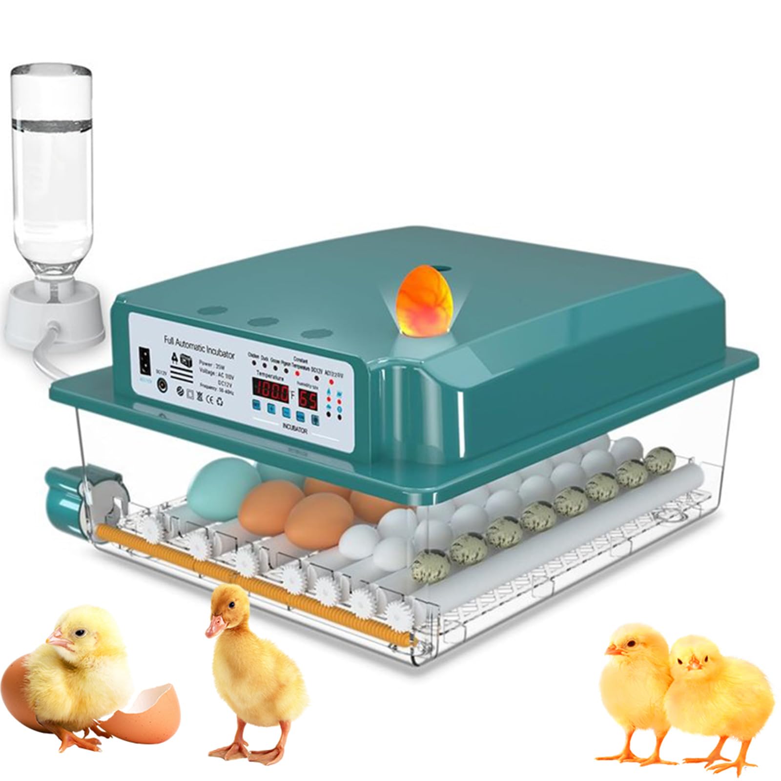 36/120 Incubadora Huevo Automático, Huevos Incubadoras para Huevos De Ave De Coral, Silenciador Incubadora De Huevo Automático, Incubadora Con Cubierta Caliente (36)