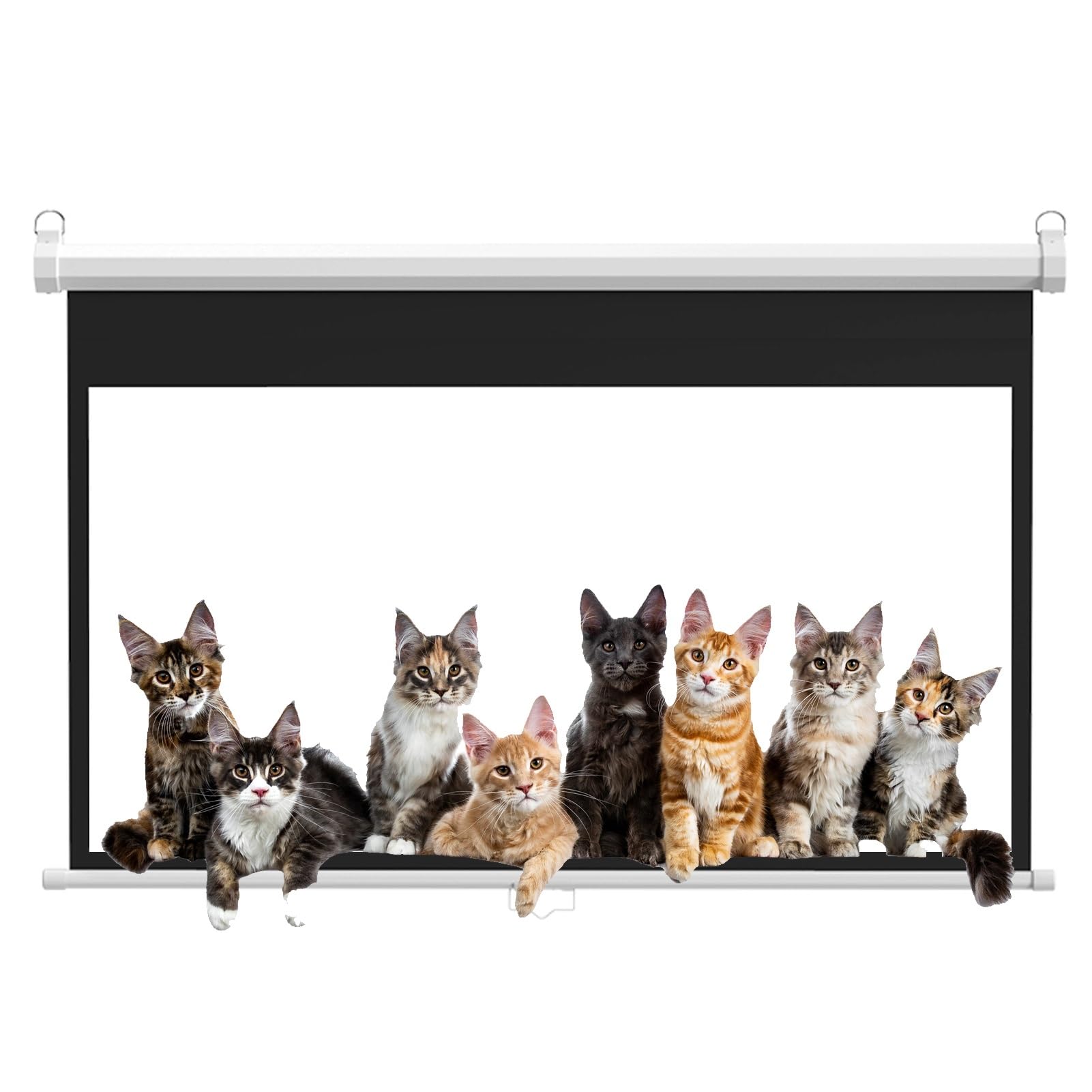 Ręcznie opuszczany ekran projekcyjny o proporcjach 16:9, 8K / 4K Ultra HD 3D Ready Roll-Down Matte White Projector Screen z automatyczną blokadą(60 in)