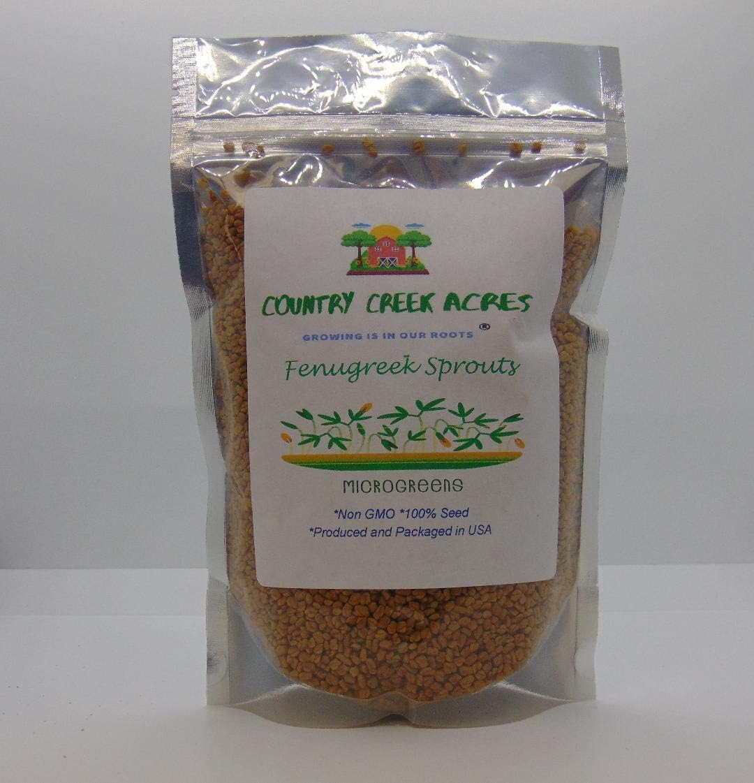 Fenugreek Sprouting Seed, Non GMO - 2 LBS - Country Creek Acres Brand - Fenugreek for Sprouts, Garden Planting, Cooking, Soup, Emergency Food Storage, Vegetable Gardening, Juicing, Cover Crop