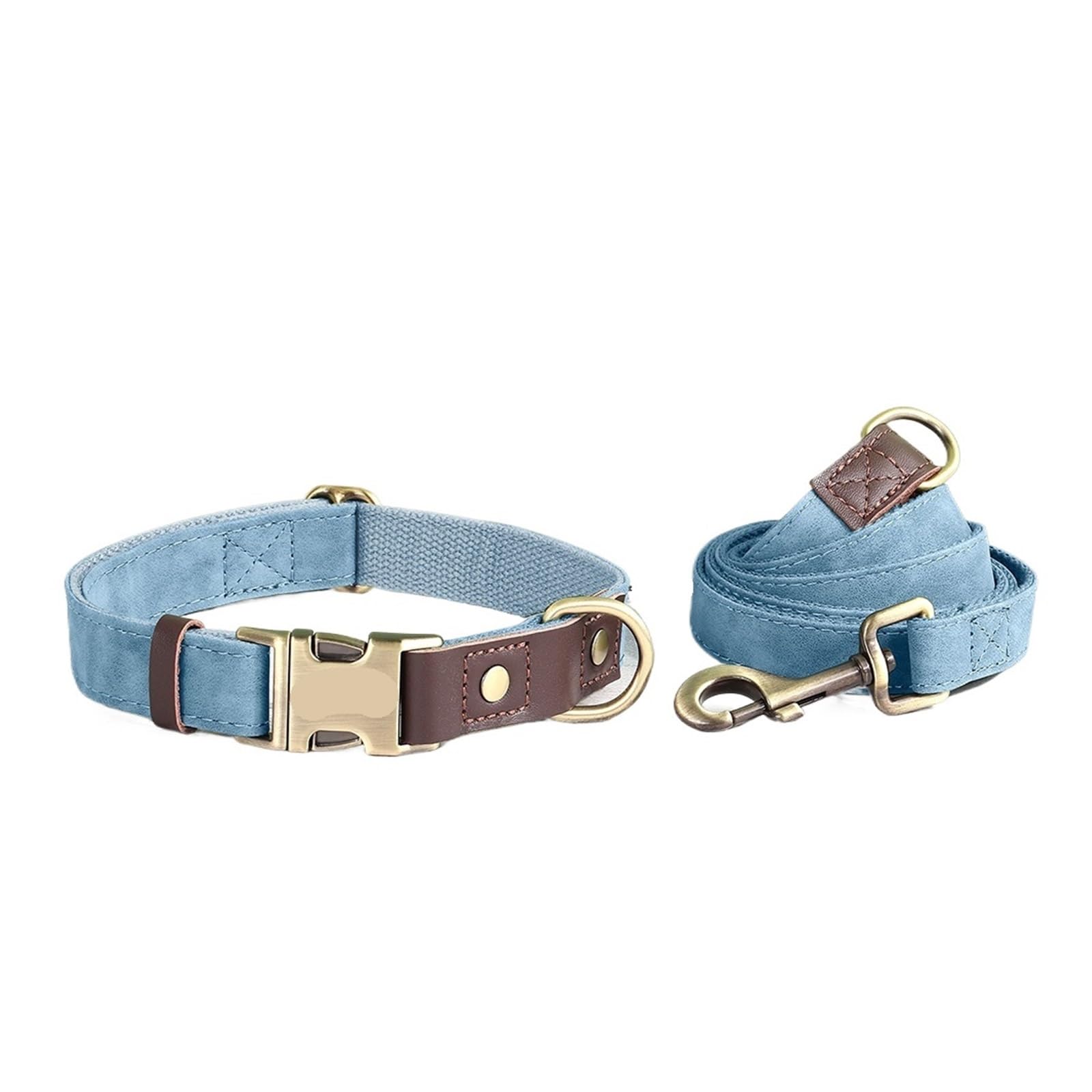 Collier for Chien avec Laisse, Tailles SL