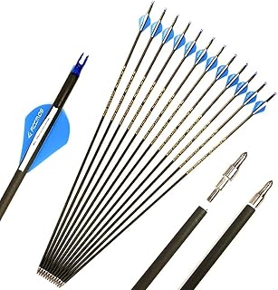 18pc ID 6.2mm .244" Custom Length 22-31 Inch Carbon Arrows Spine 300 350 400 500 600 700 800 Target Practice & Hunting Arrow Rotatable Nock for Recurve Bow Compound Bow Adult Youth Shooting Blue