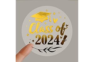 100 Class of 2024 Graduating Stickers Decorate Your Grad Caps and Letters