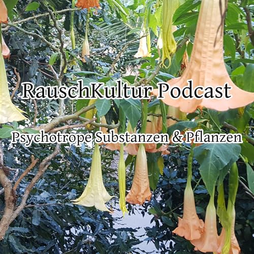 Page de couverture de RauschKultur - Der Podcast zu Drogen & psychoaktiver Kultur