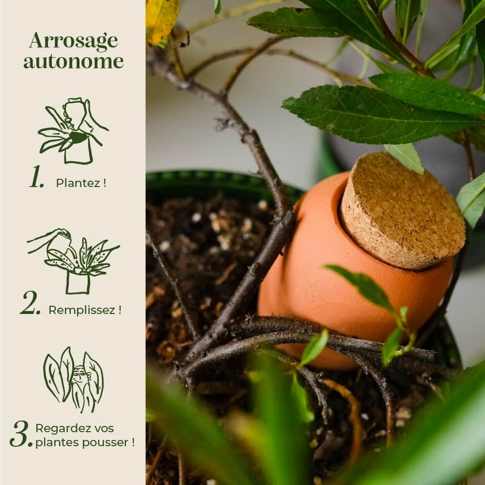 Pepin | Olla Terre Cuite à Planter | Arrosage Automatique et Ecologique pour Plante d'Intérieur et d'Extérieur | Irrigation Naturelle | Autonomie d'Environ 1 Semaine | OYA Coeur 25cl