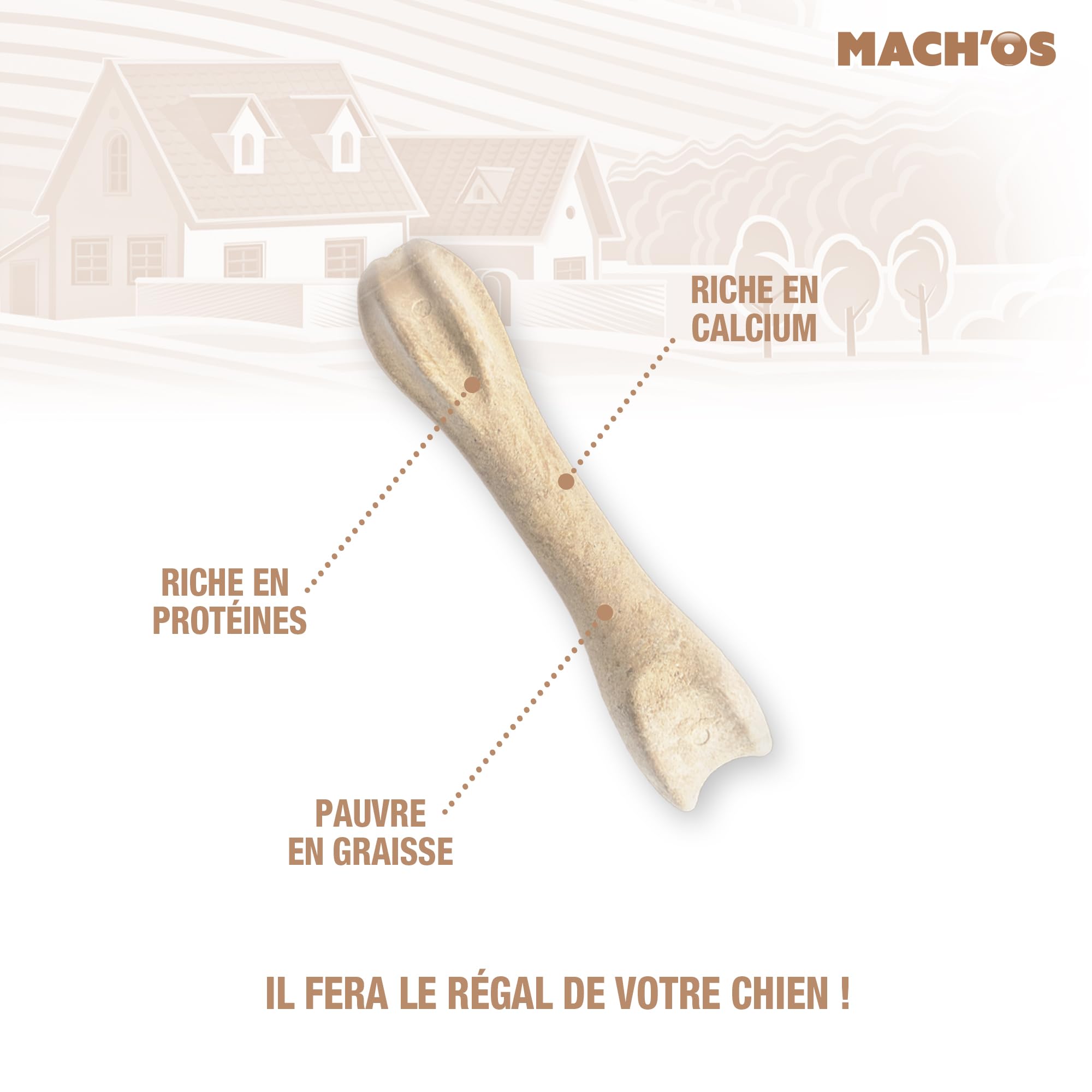 RIGA - Mach'os - Bon'os pour Chien S - Riche en Protéines Et Calcium - Hygiène Buccale - Mastication Et Récompense - pour Petit Chien - x 6