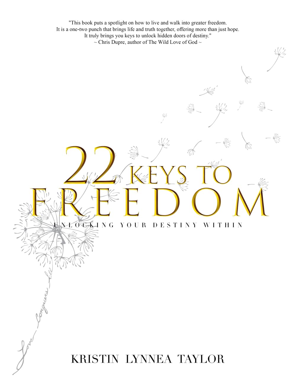 22 Keys to Freedom: Unlocking Your Destiny Within      Paperback – February 10, 2026